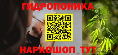 эйфоретик Гусь-Хрустальный