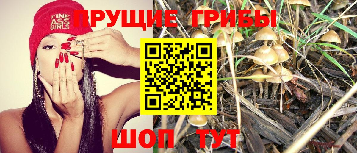 Псилоцибиновые грибы Psilocybine cubensis  Вход с VPN  Дагестанские Огни 